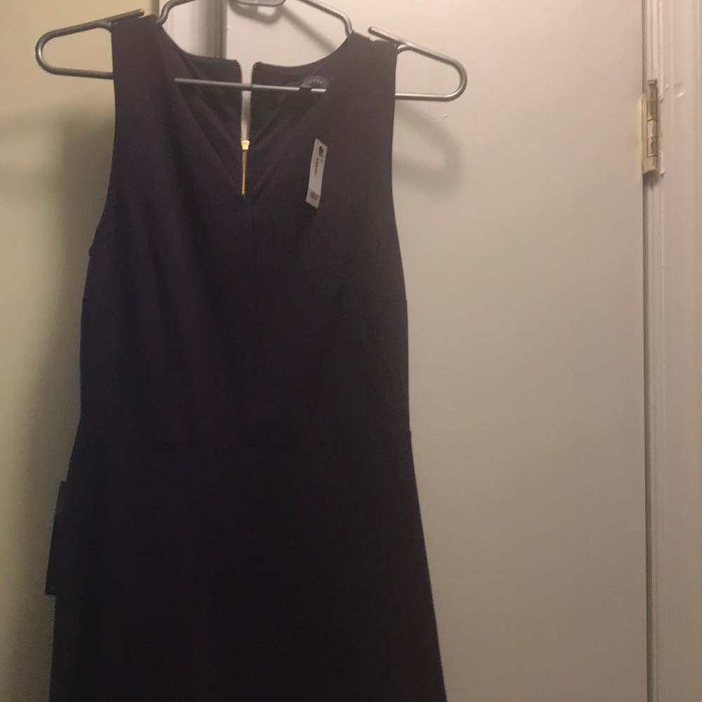 The Limited Purple Dress